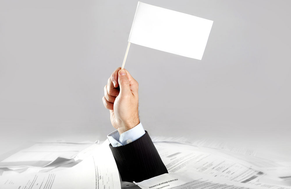 flag-documentation-service-inner-img