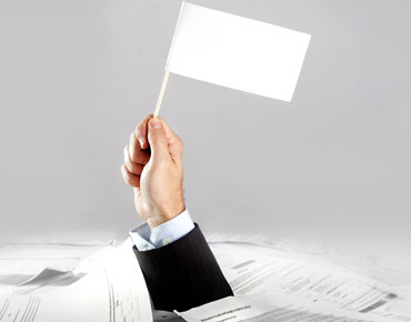 flag-documentation-service